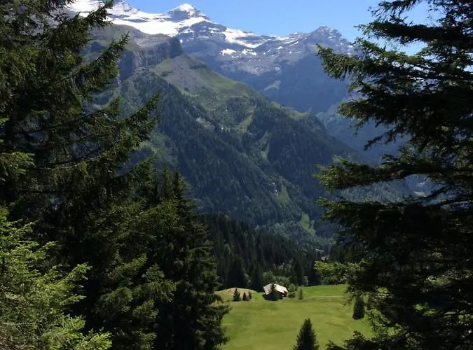 Victoria 3* 그슈타드